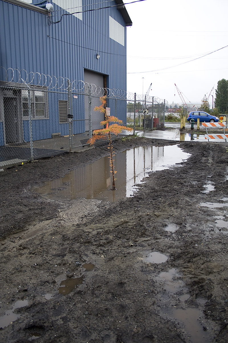 06_20091017_Treadway