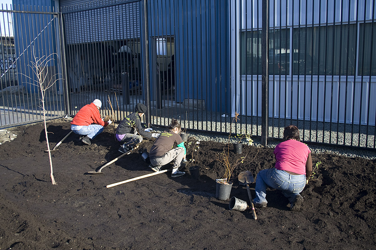 11_20091205_Treadway